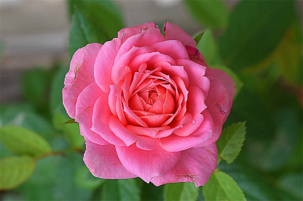 ～～·随拍——