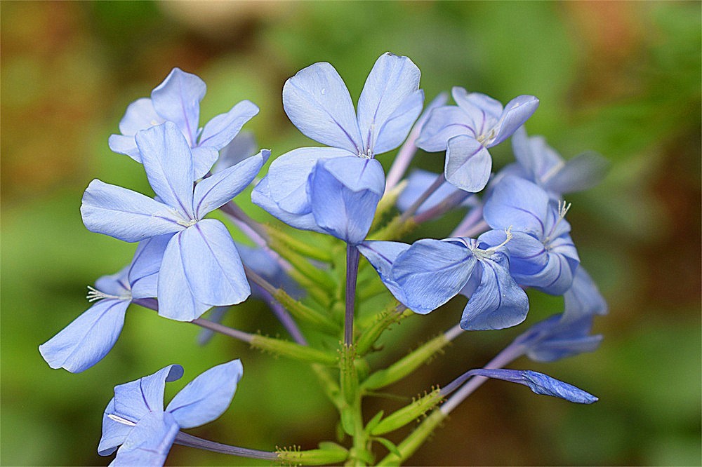 ～～·随拍——