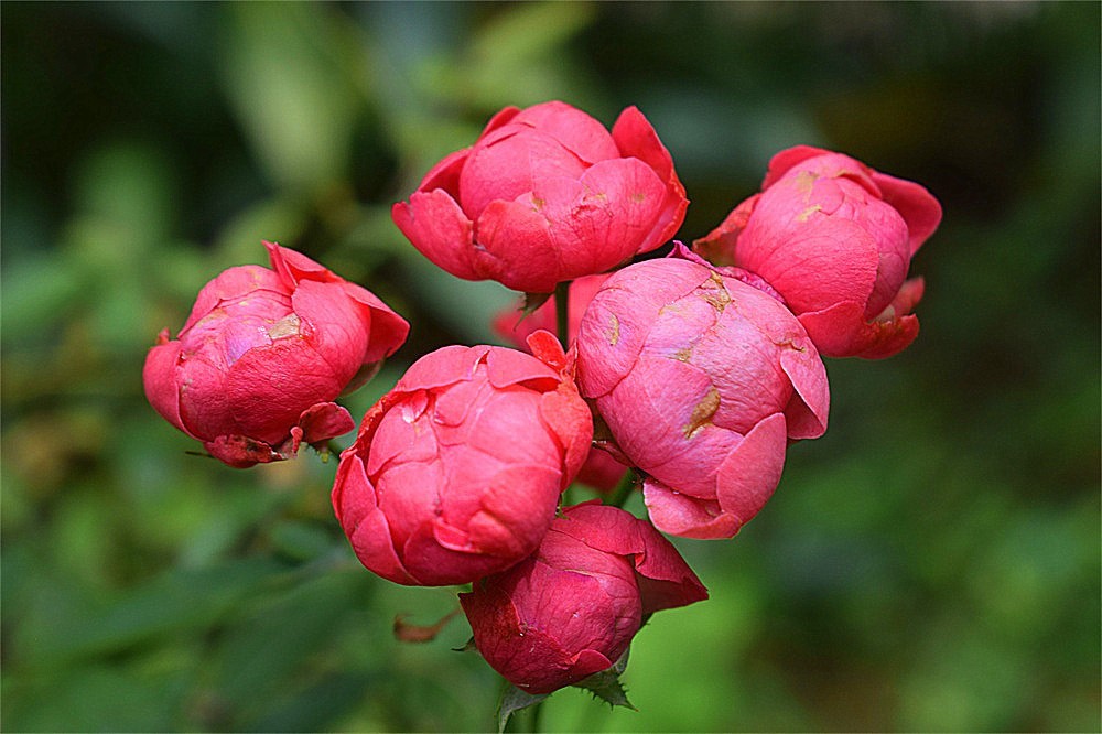 ～～·随拍——