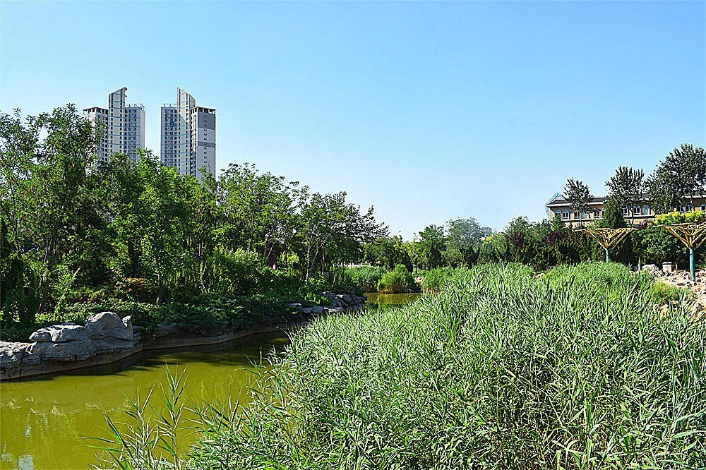 ～～·随拍——