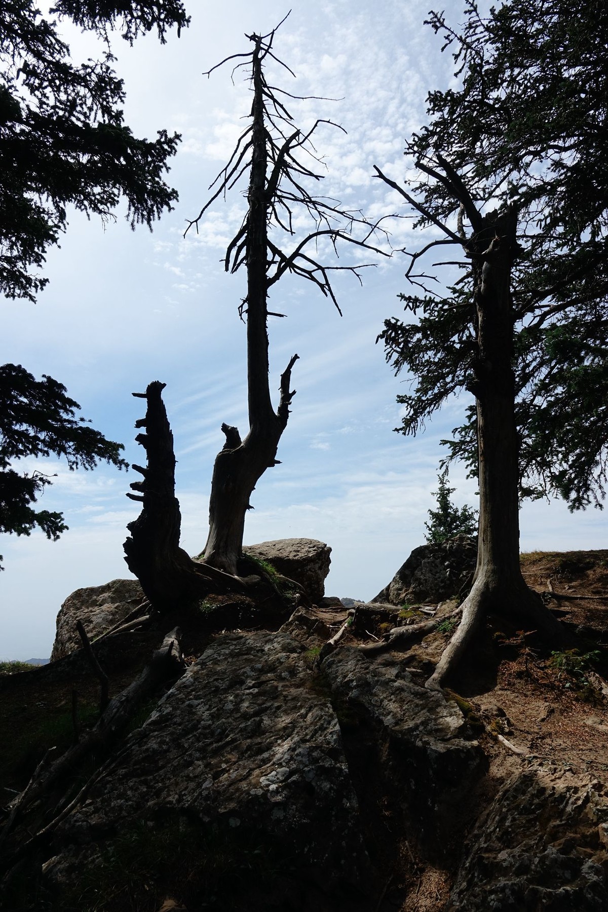 穿越贺兰山随拍