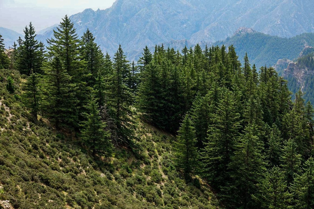 穿越贺兰山随拍