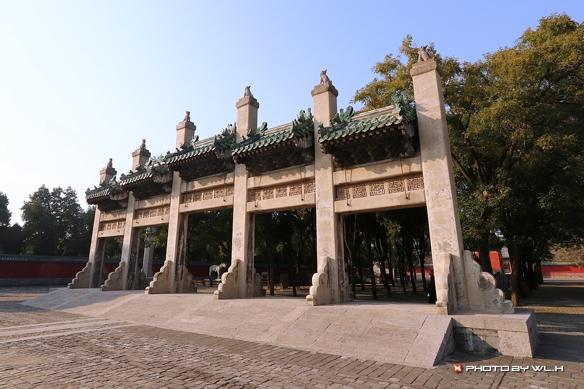 伟人说要留作反面教材——袁林