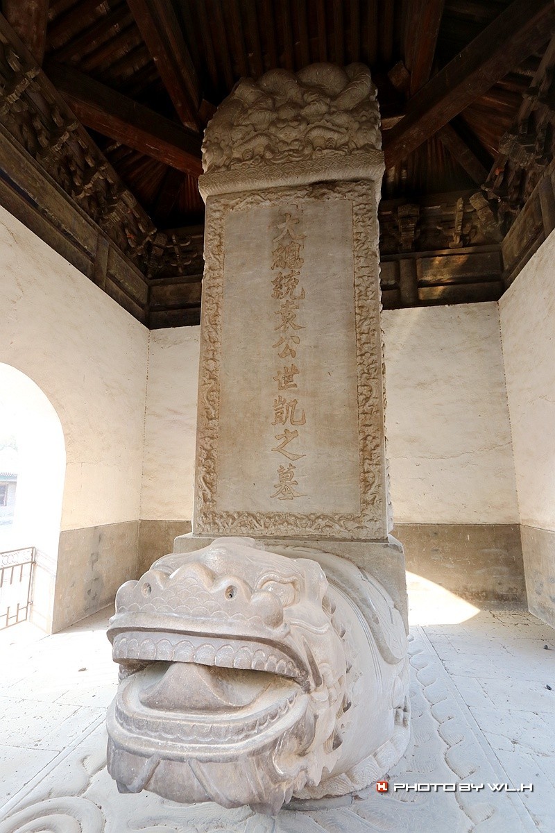 伟人说要留作反面教材——袁林