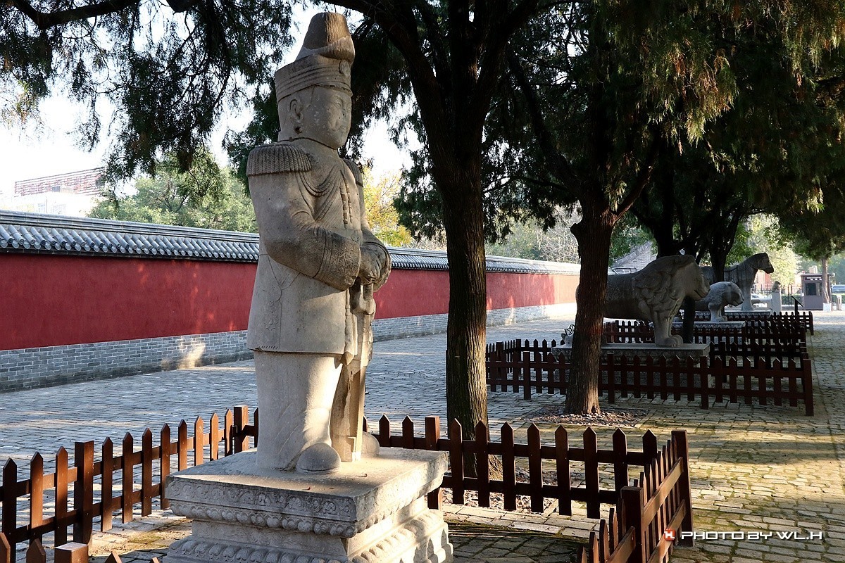 伟人说要留作反面教材——袁林