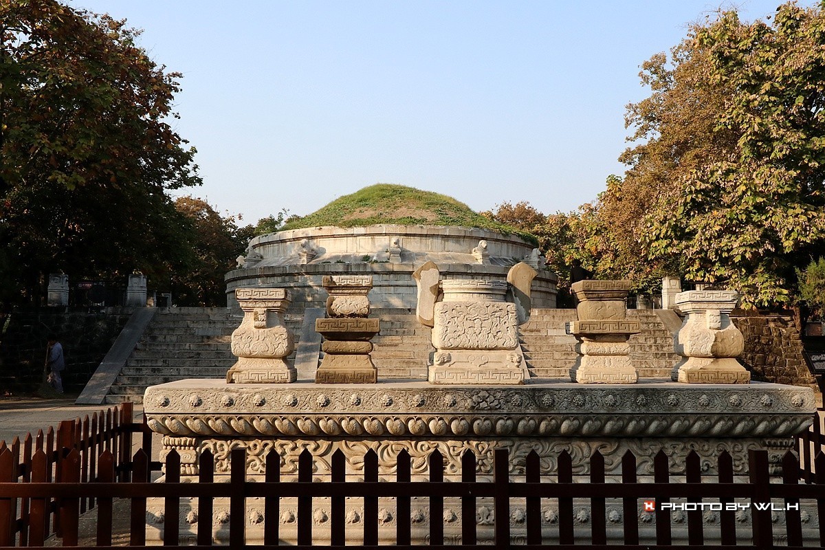 伟人说要留作反面教材——袁林