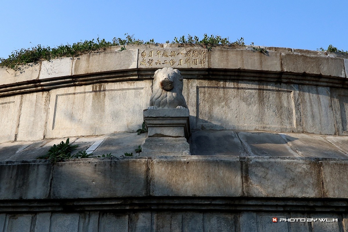 伟人说要留作反面教材——袁林