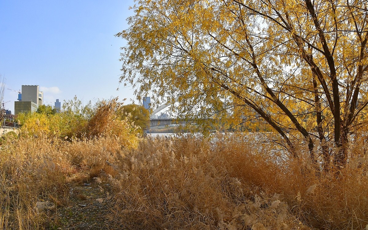 秋景河两岸
