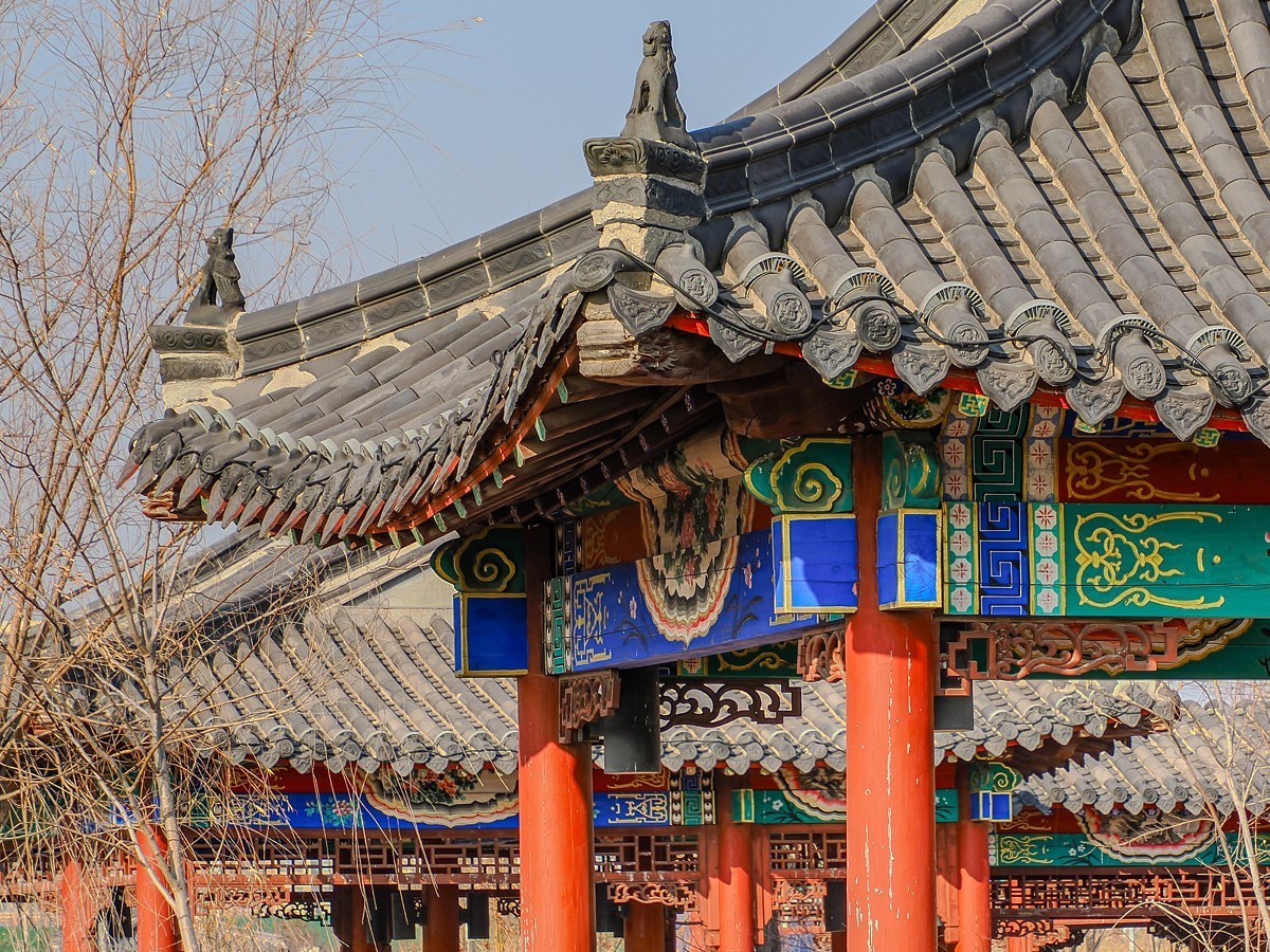 水边的建筑和一只狗狗（OM1MarkⅡ）