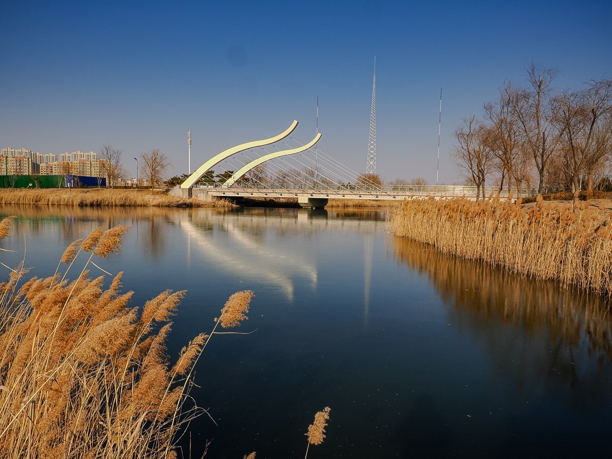 水边的建筑和一只狗狗（OM1MarkⅡ）