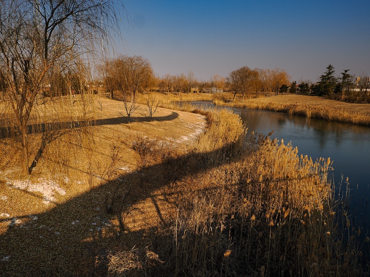 水边的建筑和一只狗狗（OM1MarkⅡ）