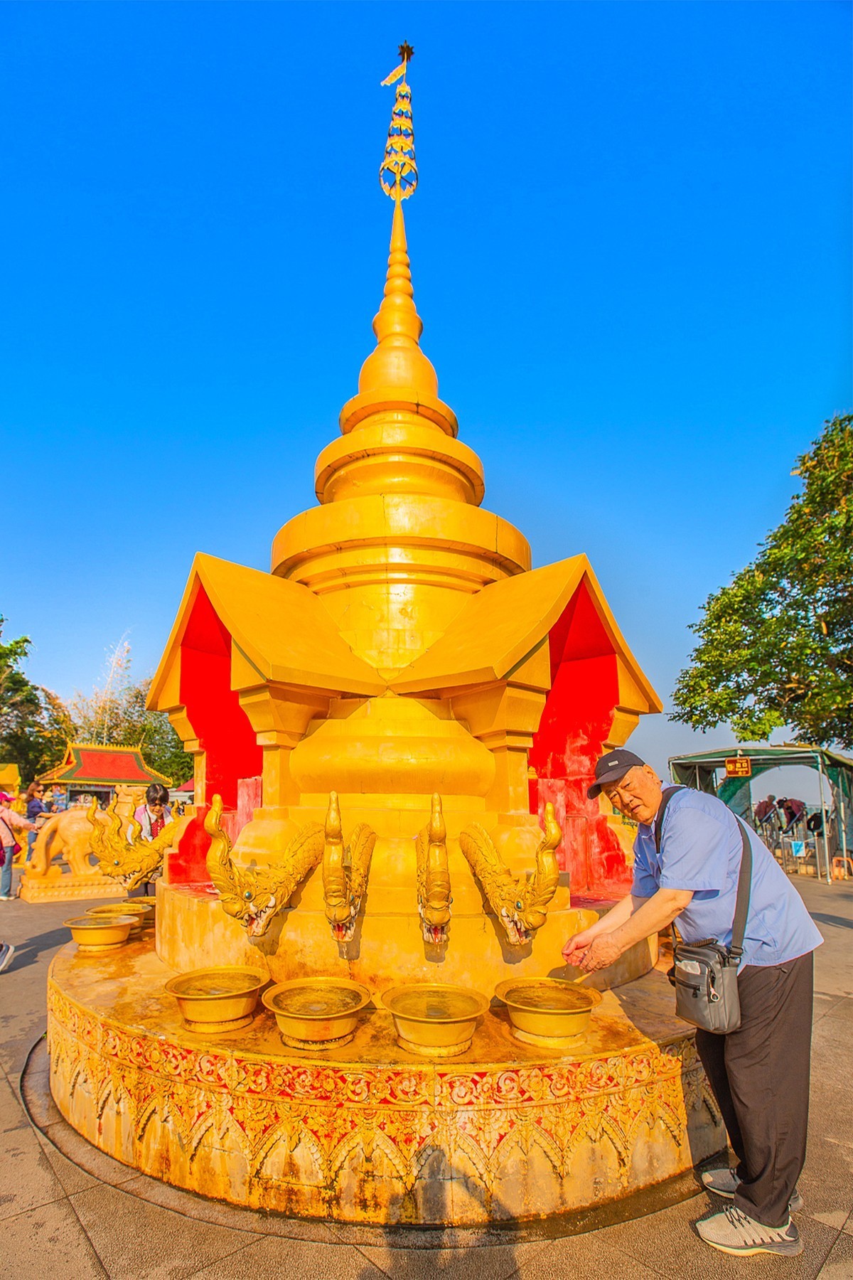 2025-02-06西双版纳勐泐文化旅游区