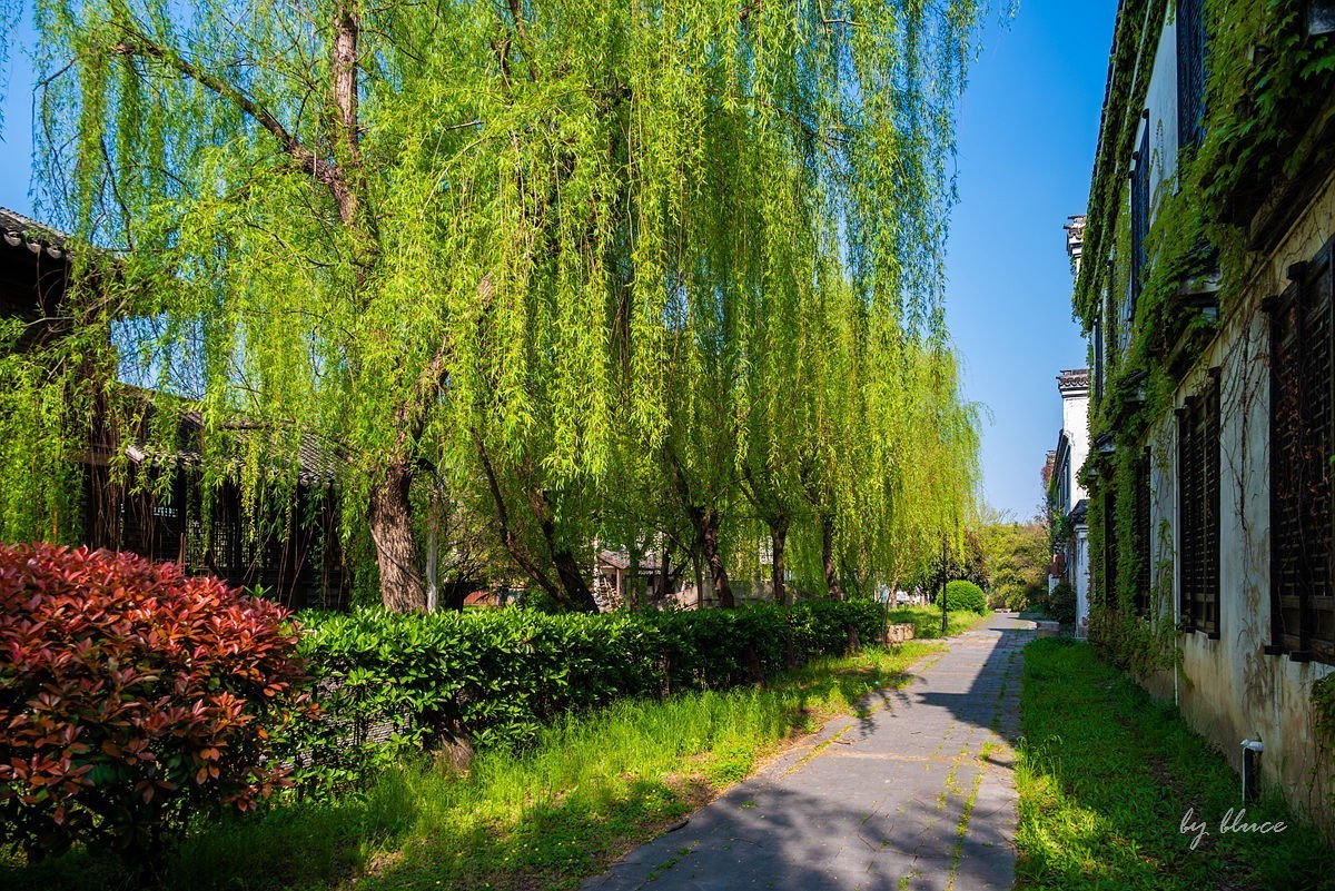 嘉兴梅花洲（七）----完