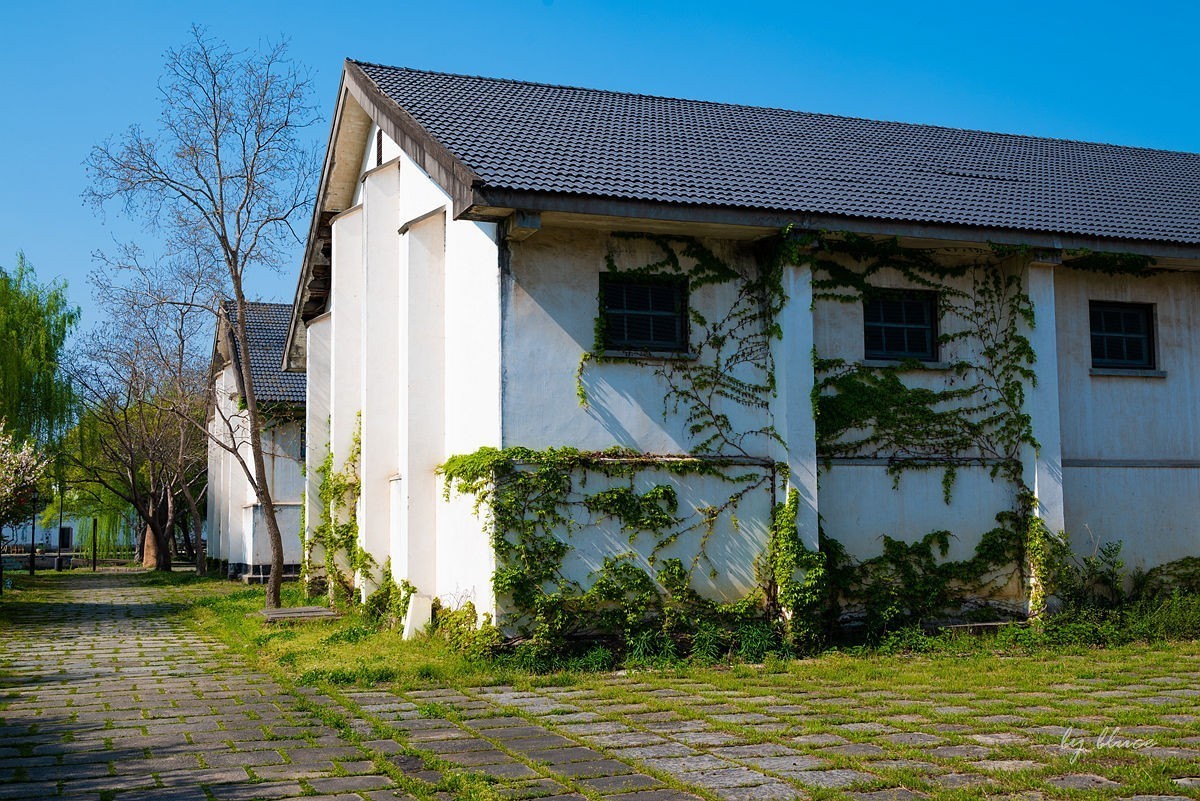 嘉兴梅花洲（七）----完