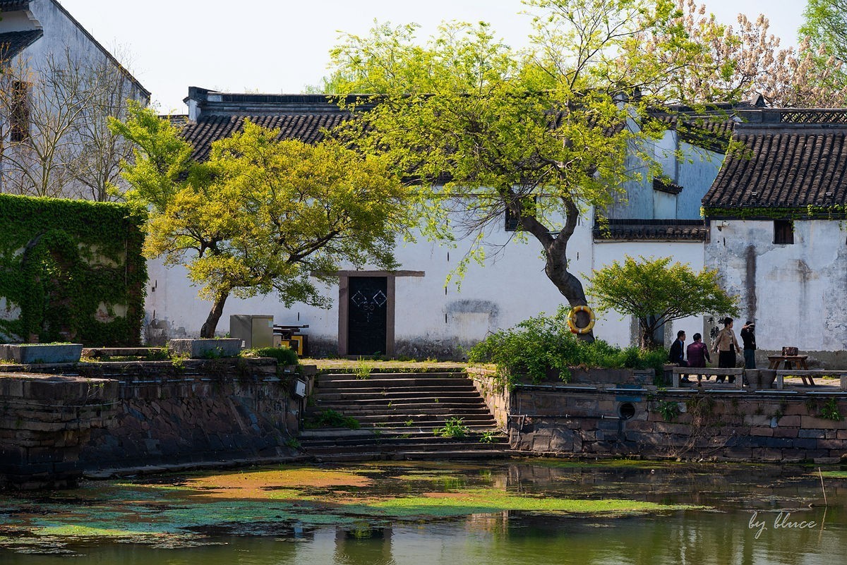 嘉兴梅花洲（七）----完