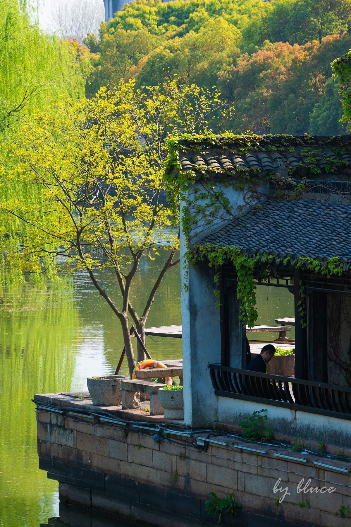 嘉兴梅花洲（七）----完