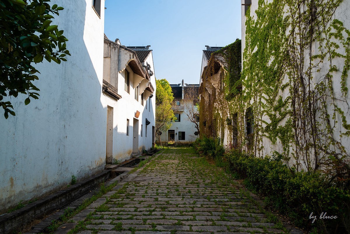 嘉兴梅花洲（七）----完