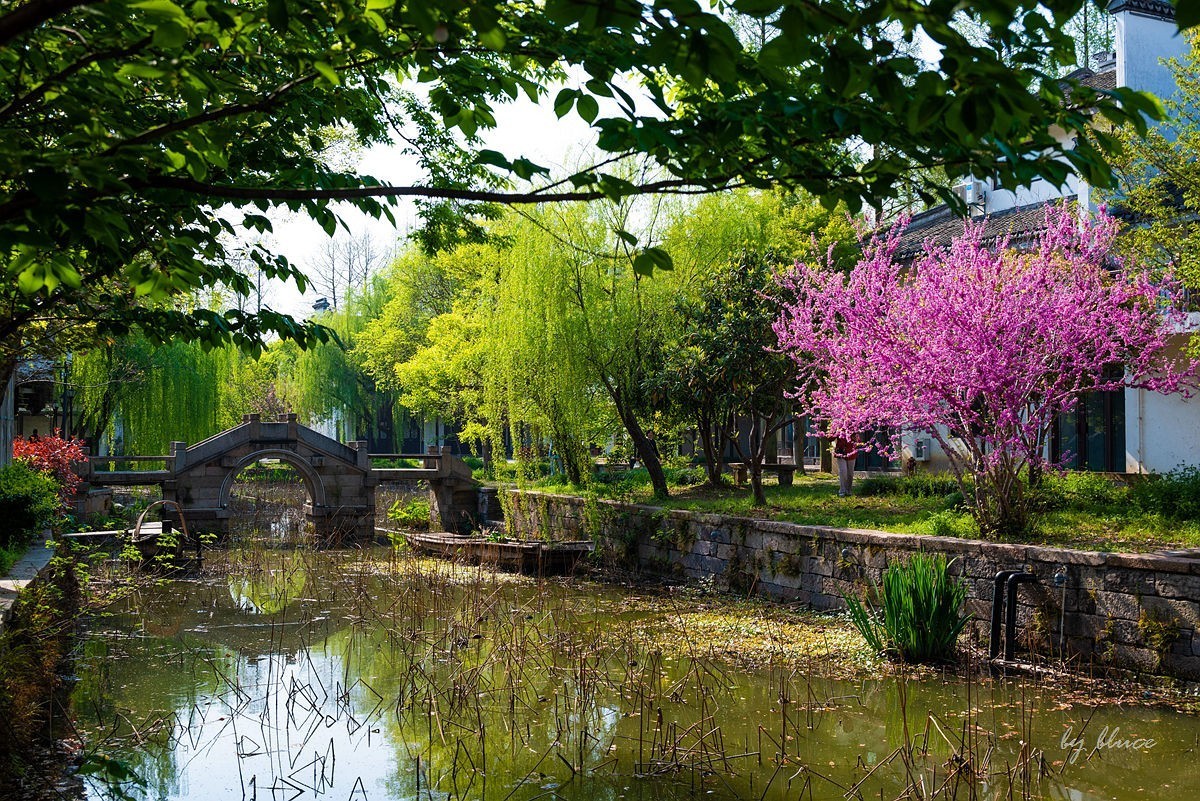 嘉兴梅花洲（七）----完