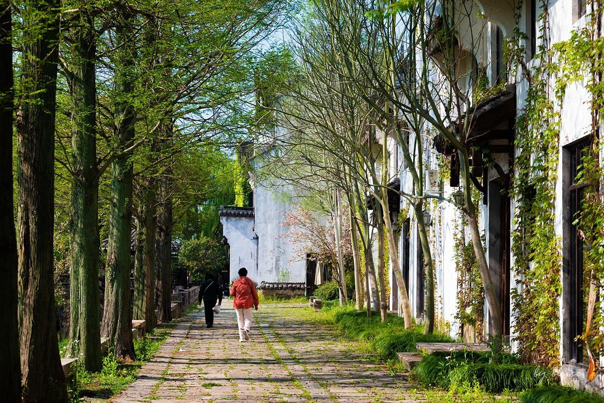 嘉兴梅花洲（七）----完