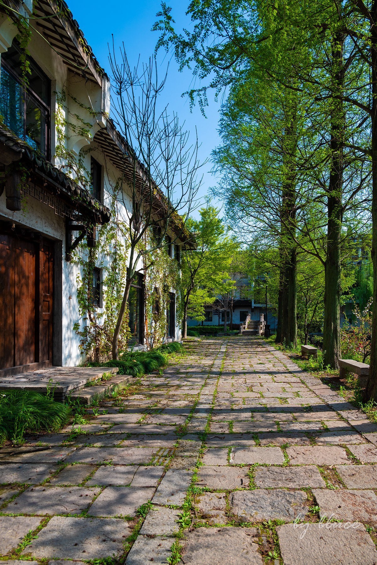 嘉兴梅花洲（七）----完