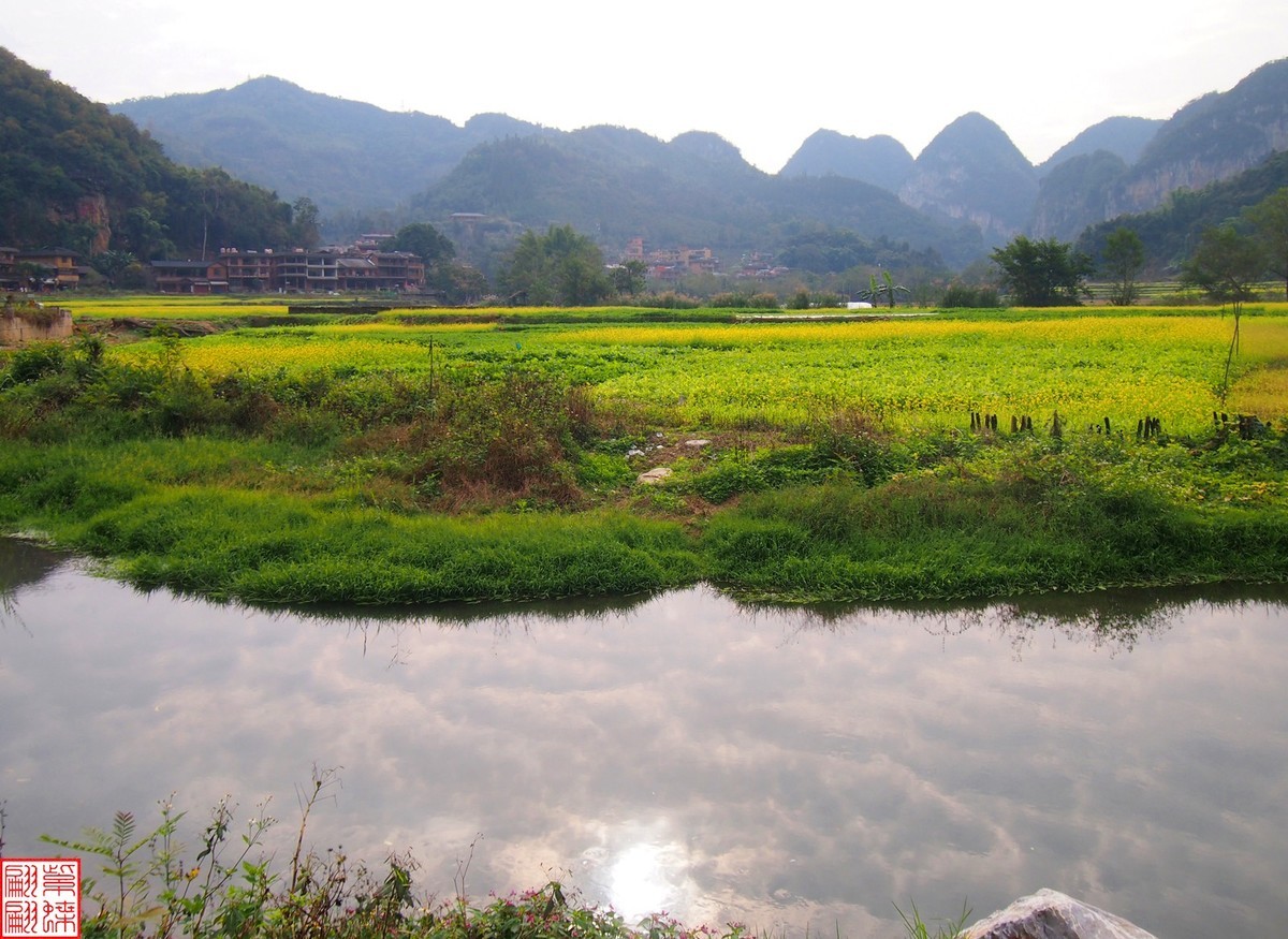 2023.12.22坝道美随拍（6）