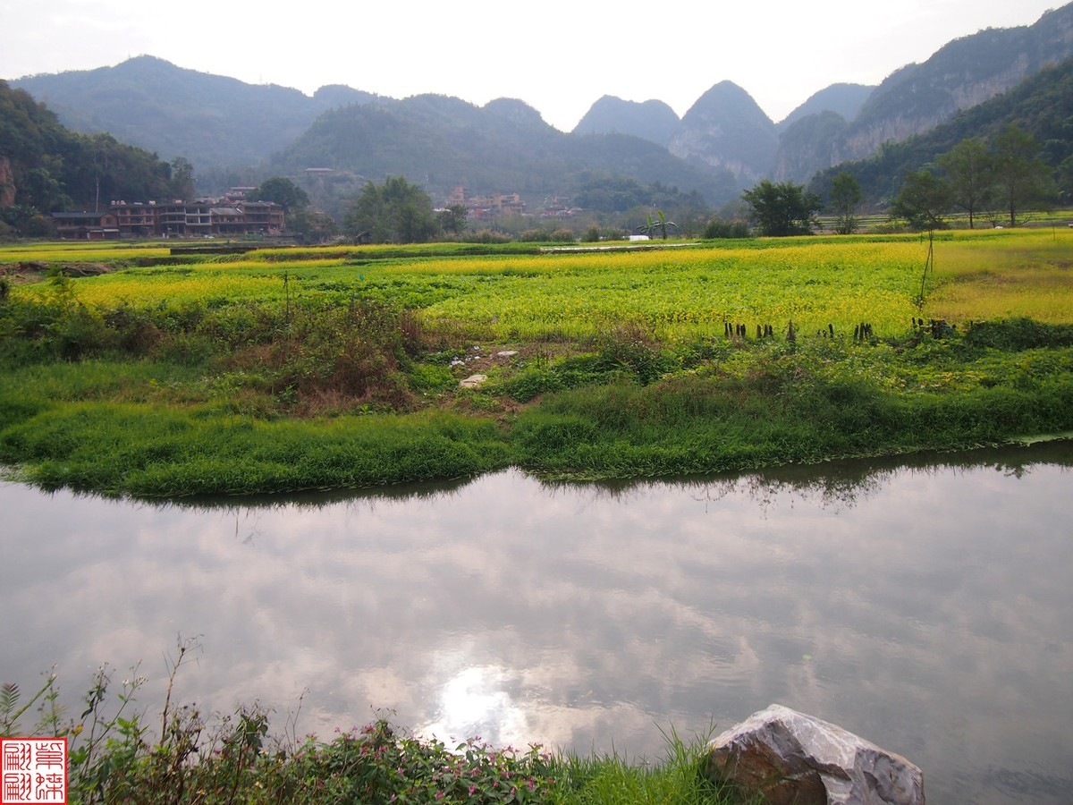 2023.12.22坝道美随拍（6）