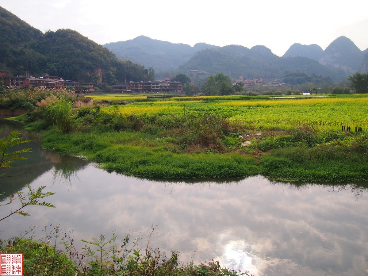 2023.12.22坝道美随拍（6）