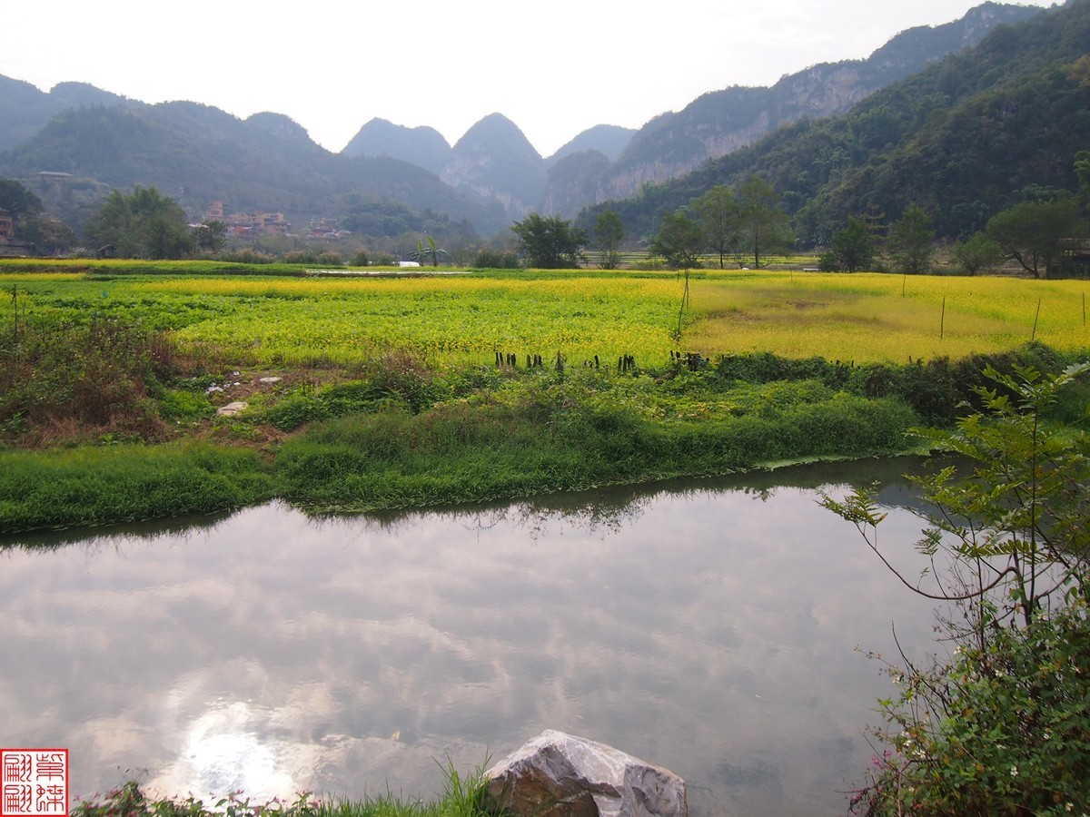 2023.12.22坝道美随拍（6）