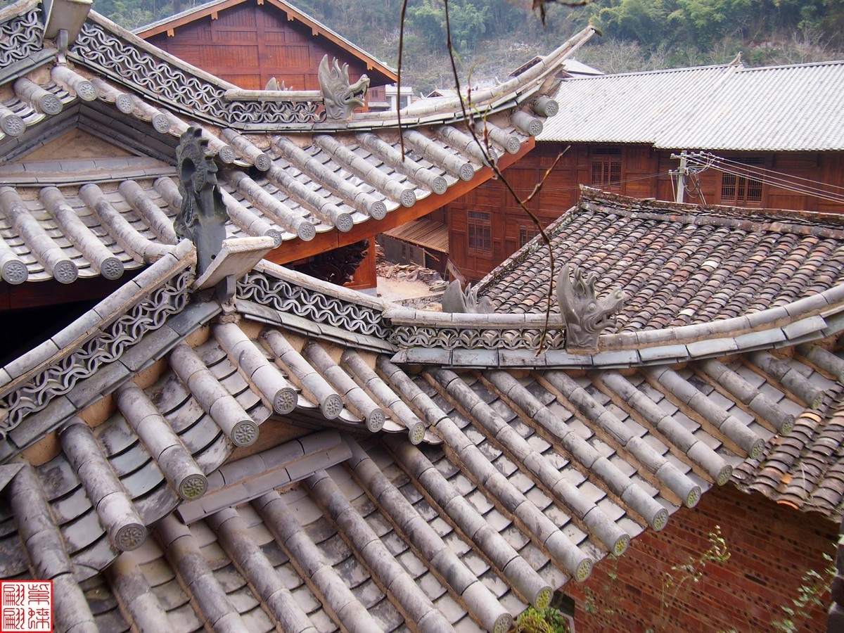 2023.12.21仙草秘境(12）