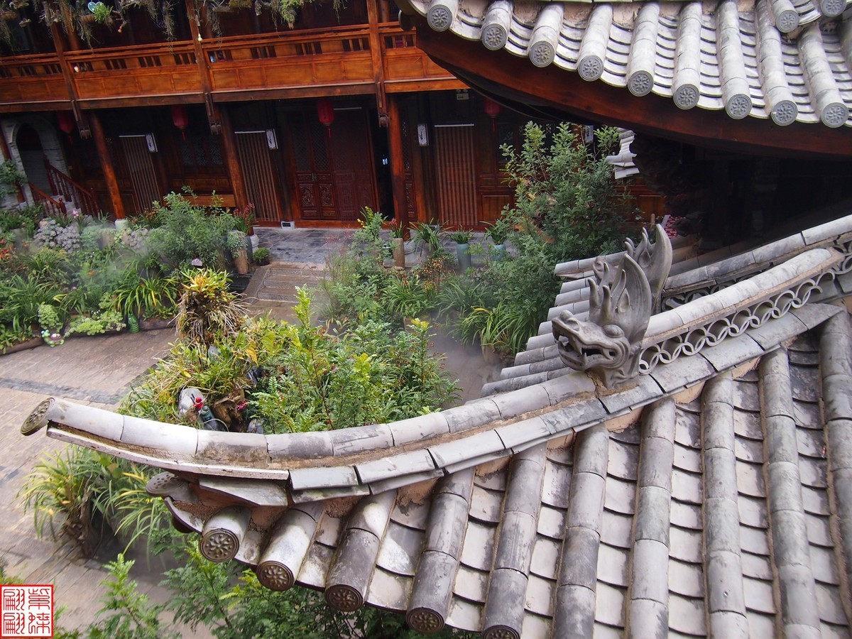 2023.12.21仙草秘境(12）