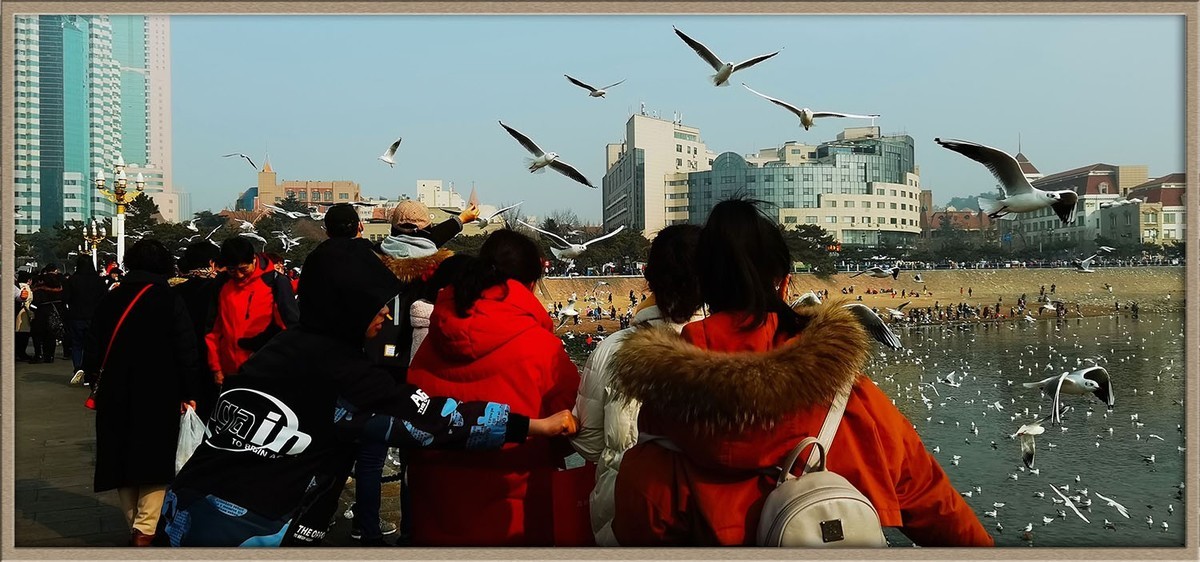 人与自然---岛城前海风光