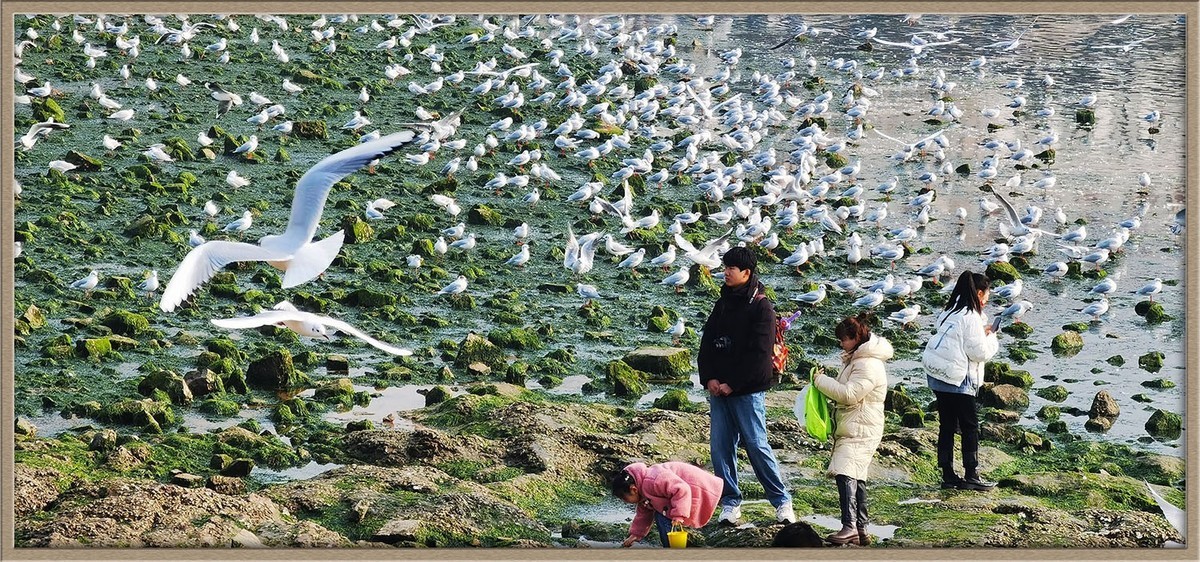 人与自然---岛城前海风光