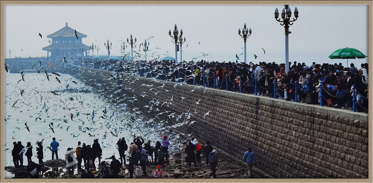 人与自然---岛城前海风光