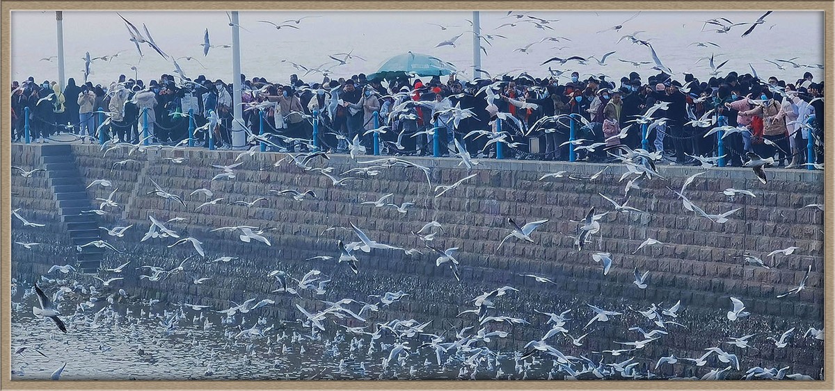 人与自然---岛城前海风光