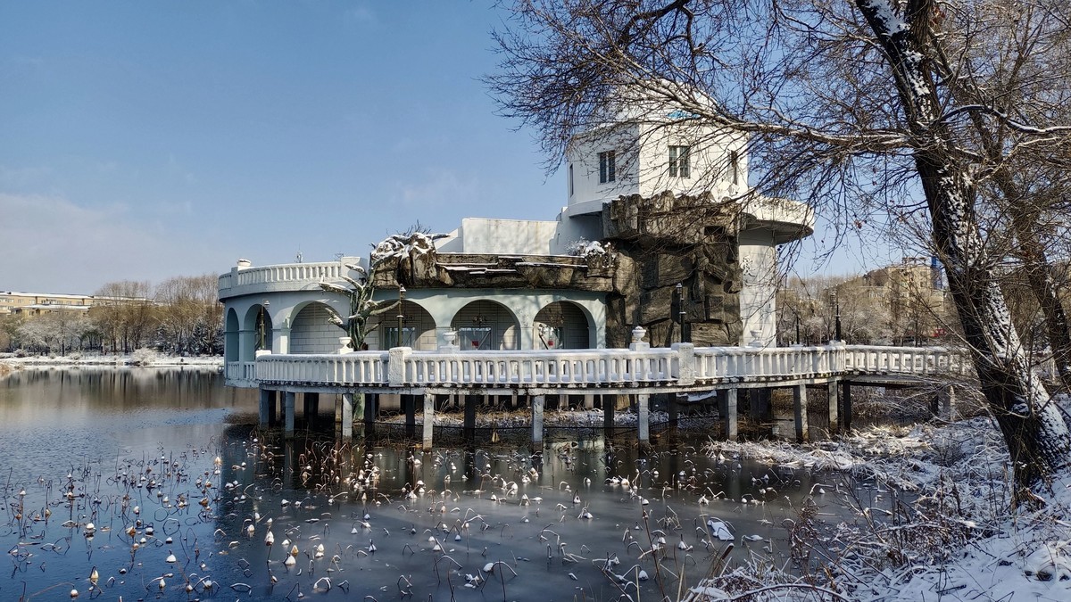 手机拍照人民公园雪景3