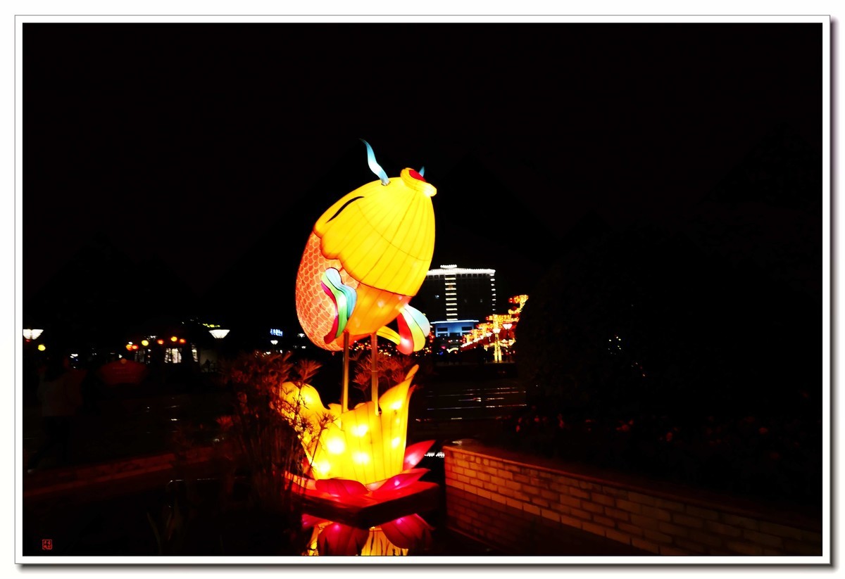 看灯饰---给大伙拜年啦！