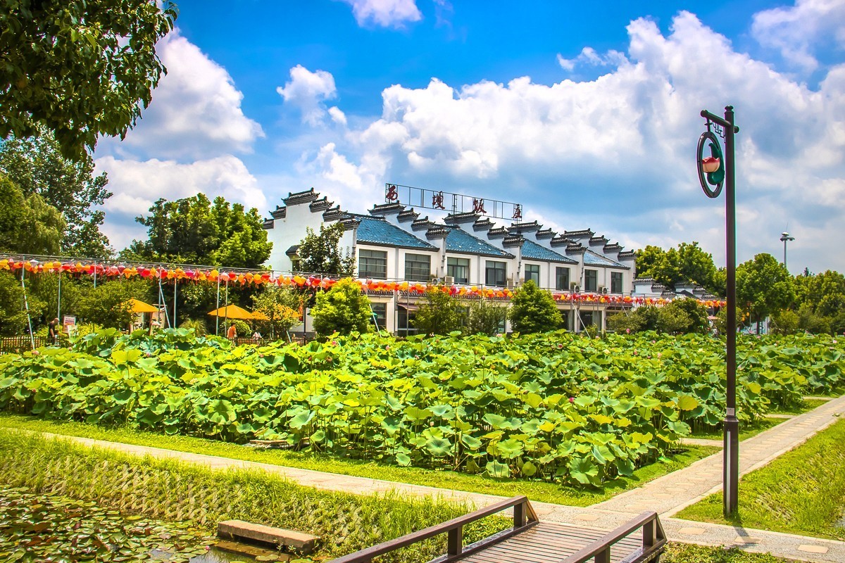 2023-08-16南京西梗莲乡（七）