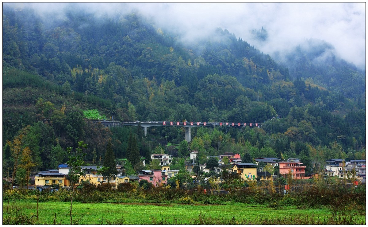 清坪镇银杏黄了，