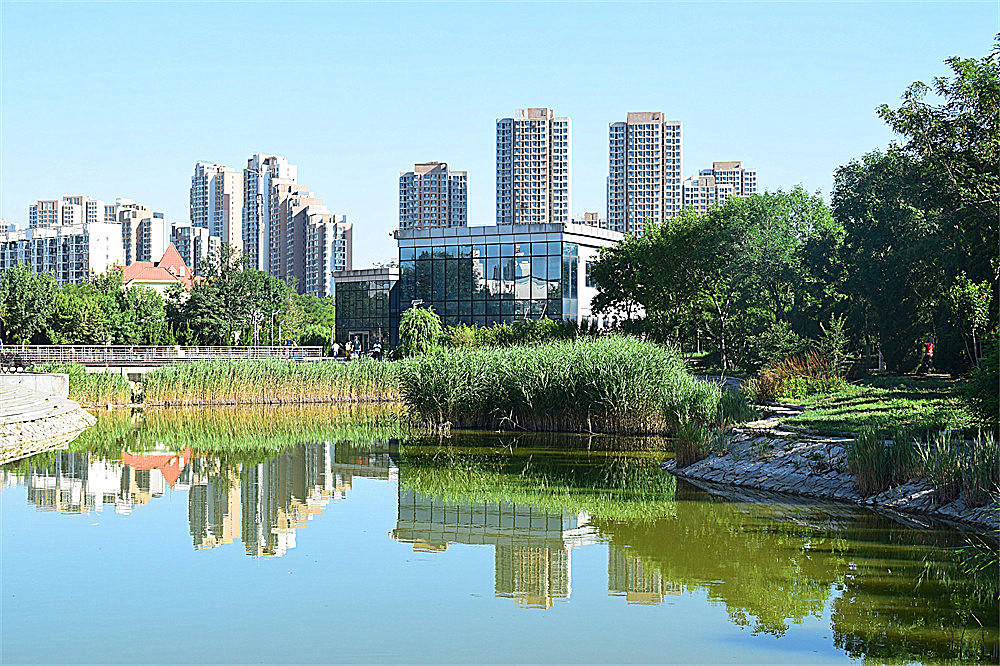 ～～·随拍——