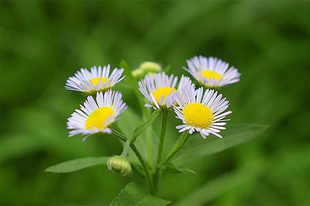 ～～·随拍——