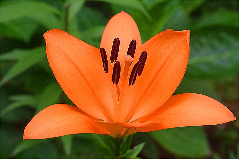 ～～·随拍——