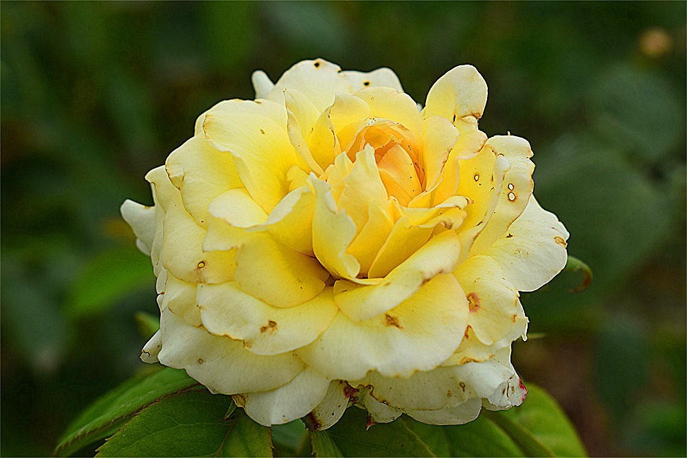 ～～·随拍——