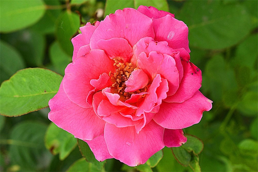 ～～·随拍——