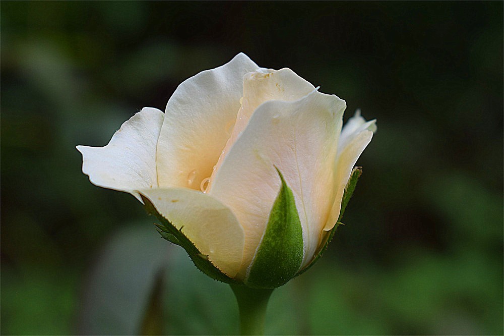 ～～·随拍——