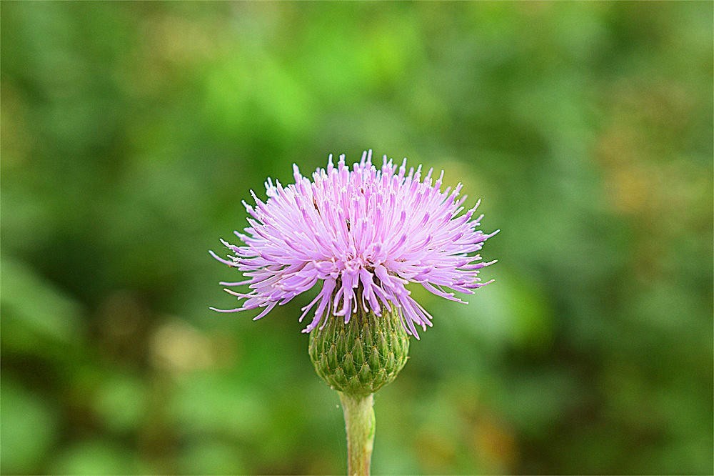 ～～·随拍——