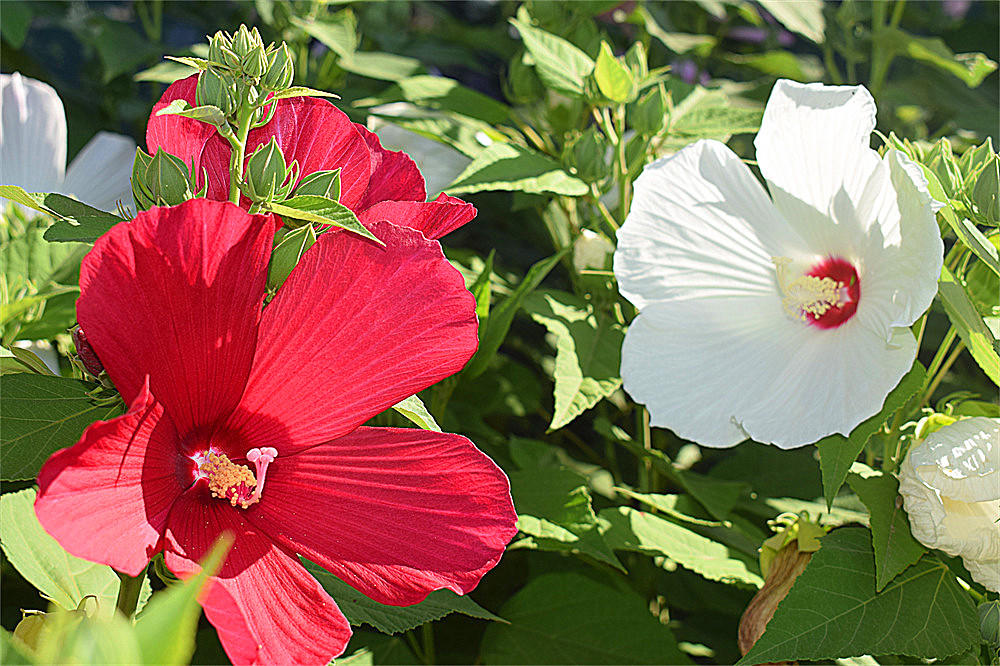 ～～·随拍——