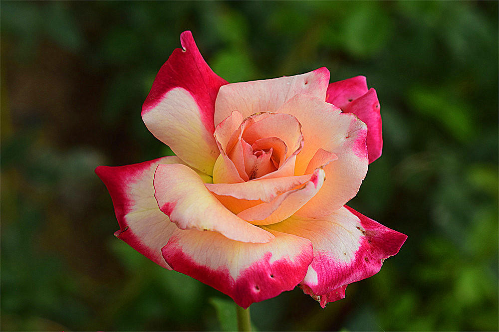 ～～·随拍——