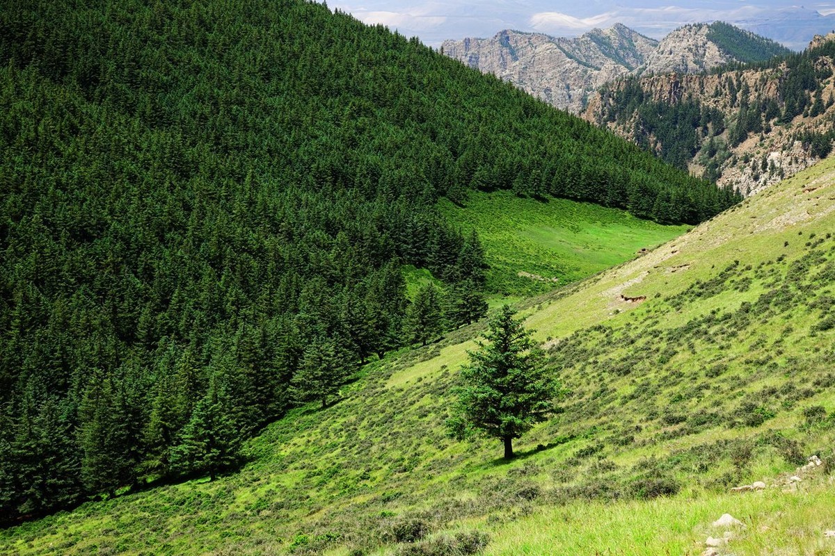 穿越贺兰山随拍