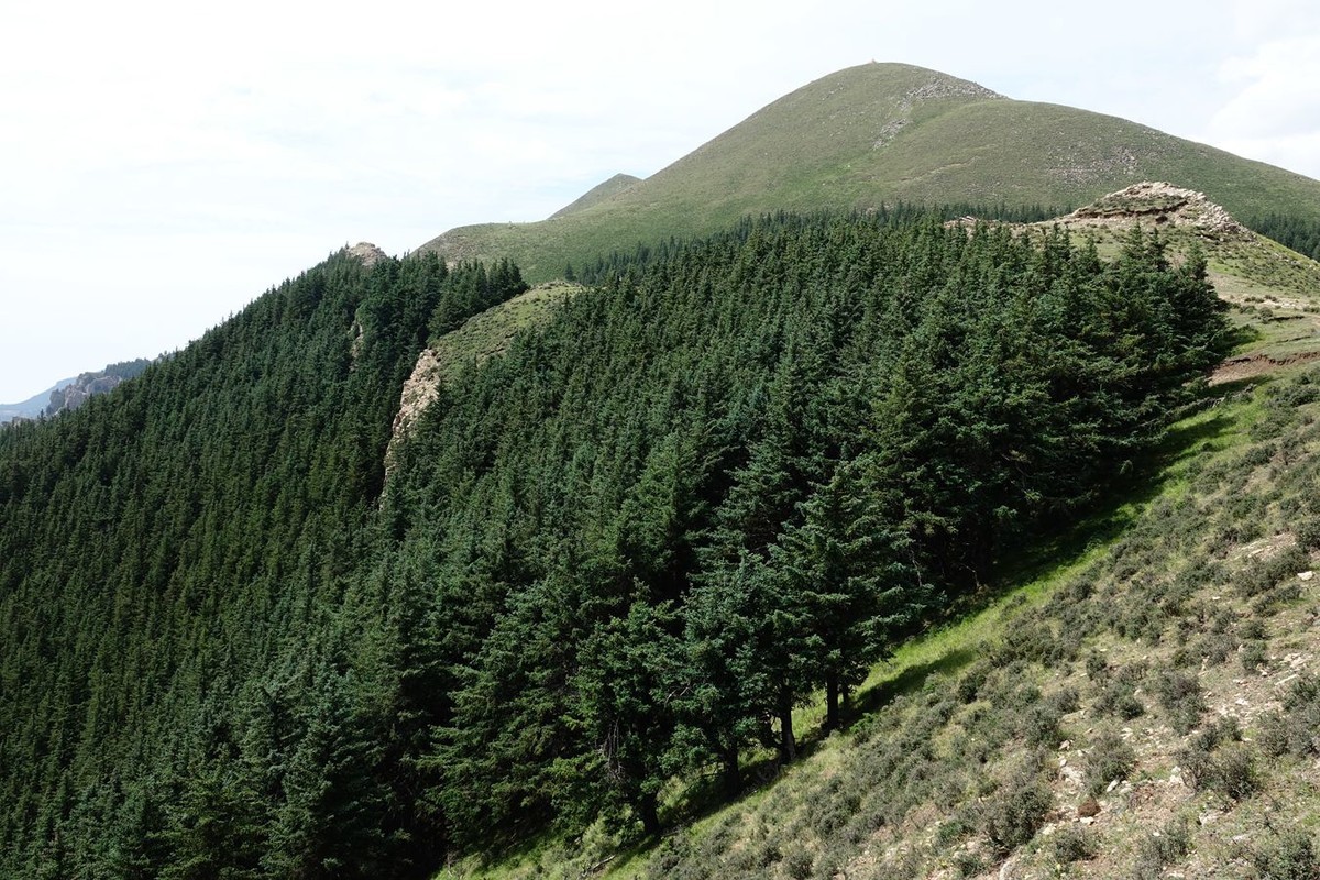 穿越贺兰山随拍