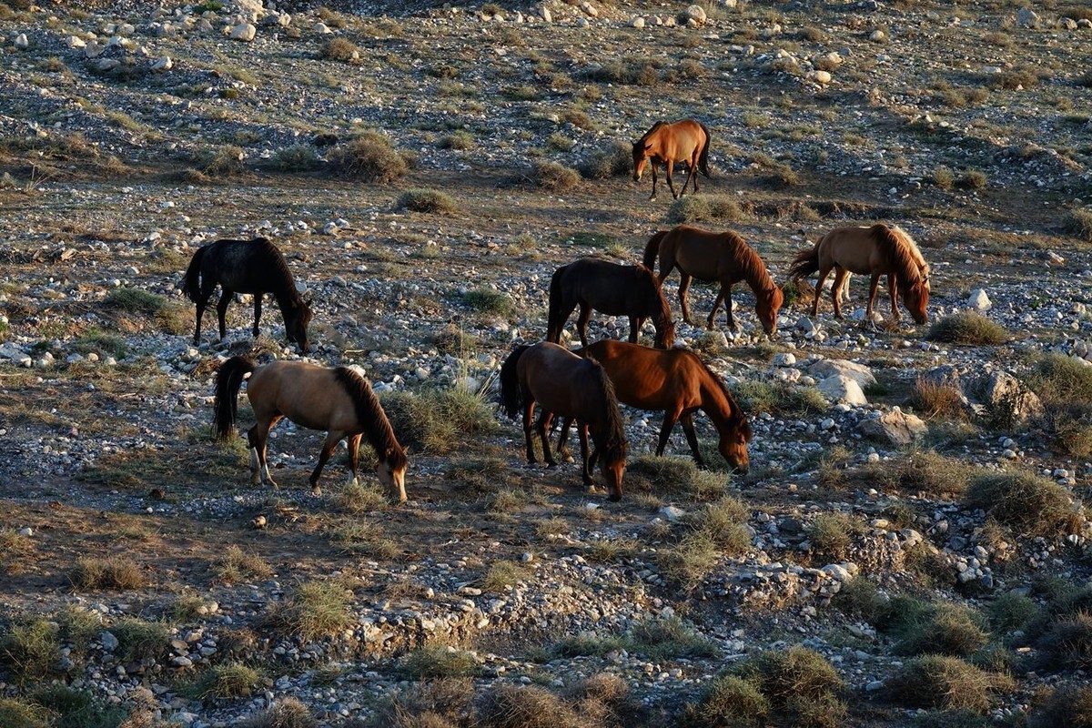 穿越贺兰山随拍